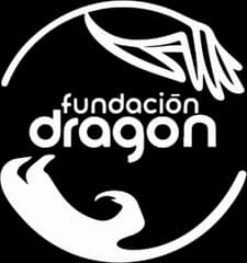 Fundación Dragón