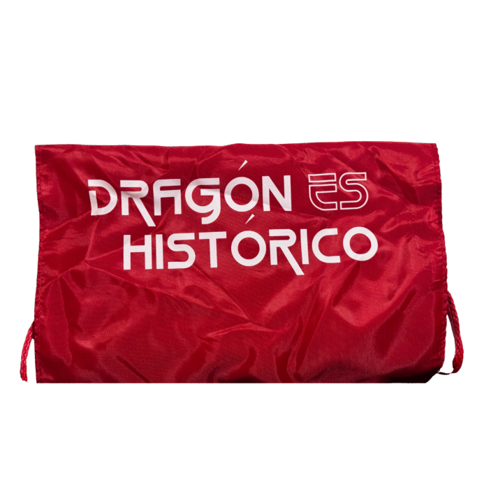 Bolsa tipo mochila (nylon color rojo)